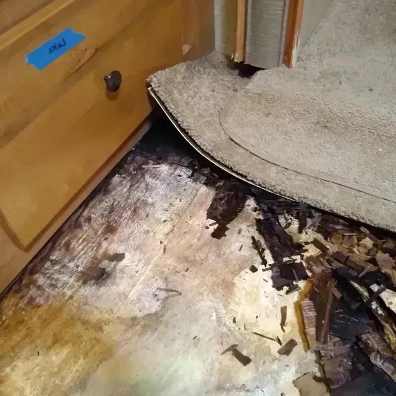 Best Wood Floor Water Damage Service in Hampton Beach, NH